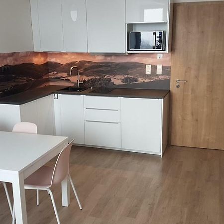 Apartmány Dolní Morava Exterior foto